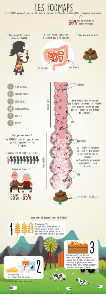 Tableau FODMAP – Liste Des Aliments Pauvres En FODMAP, Poster Laminé Pour Régime Et Santé Digestive