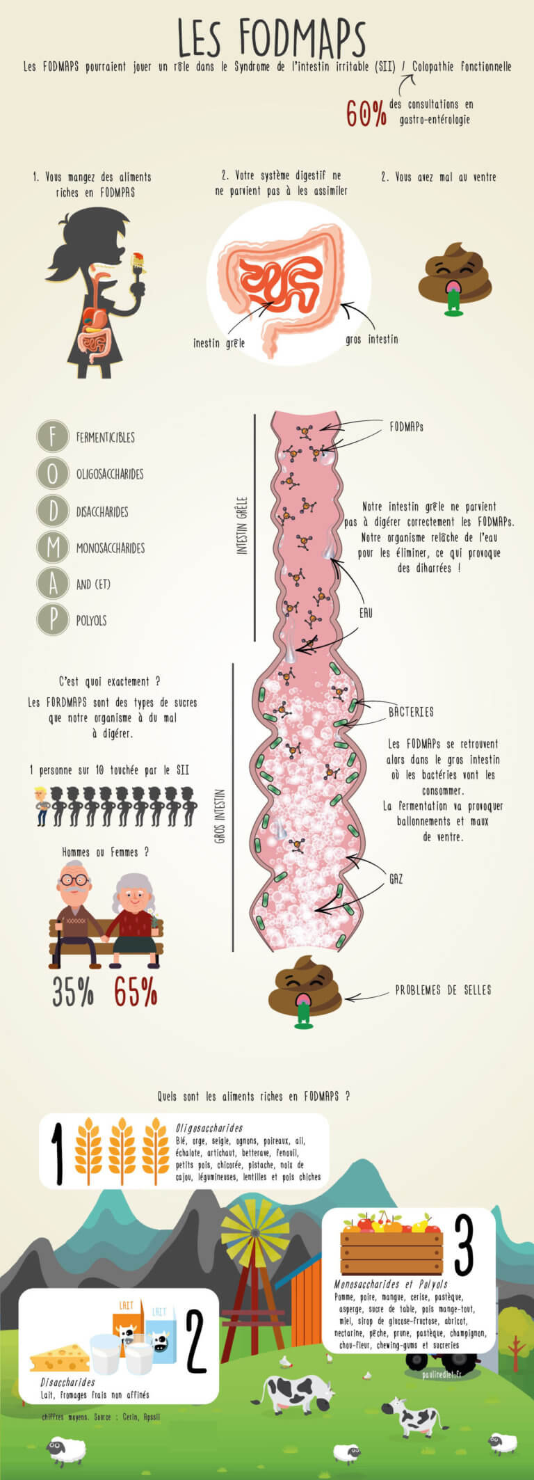Régime FODMAP liste des aliments autorisés et interdits (2023)