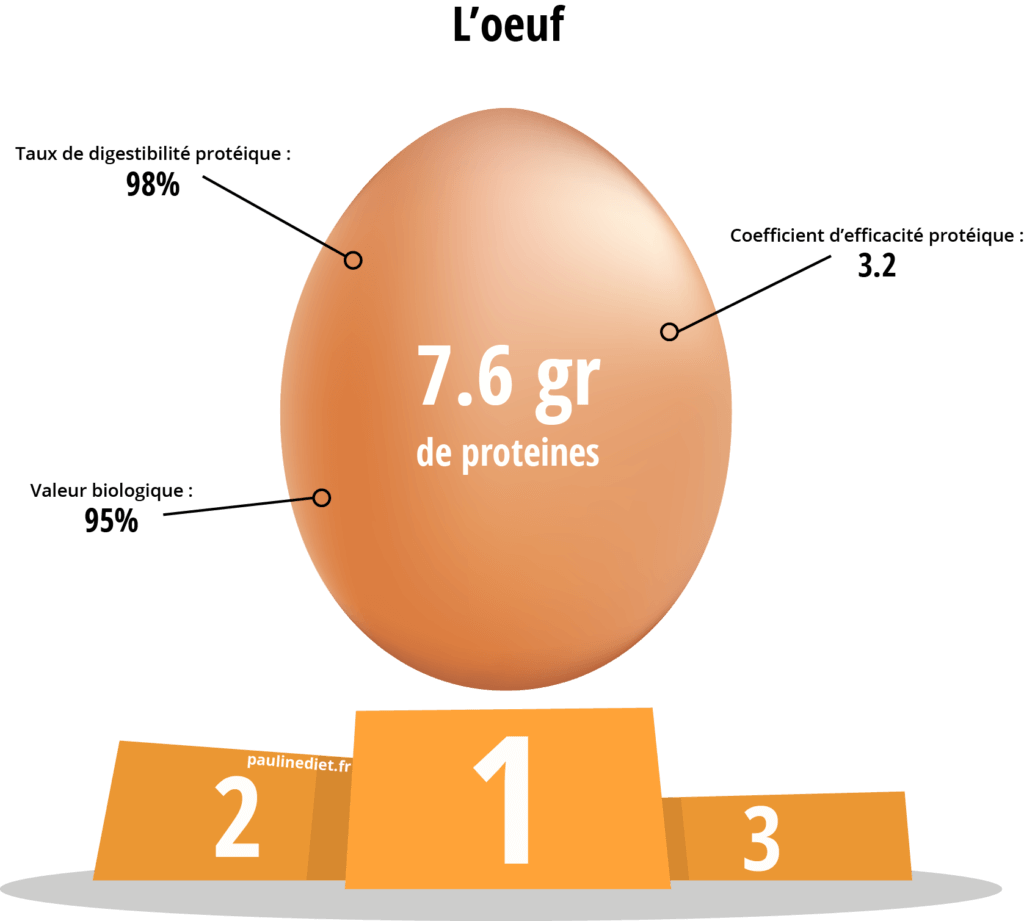 Combien de proteine dans un oeuf entier ?