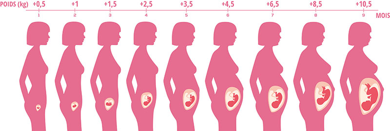 La prise de poids durant la grossesse